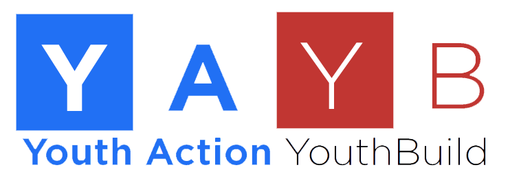 Youth Action Programs and Homes Inc logo